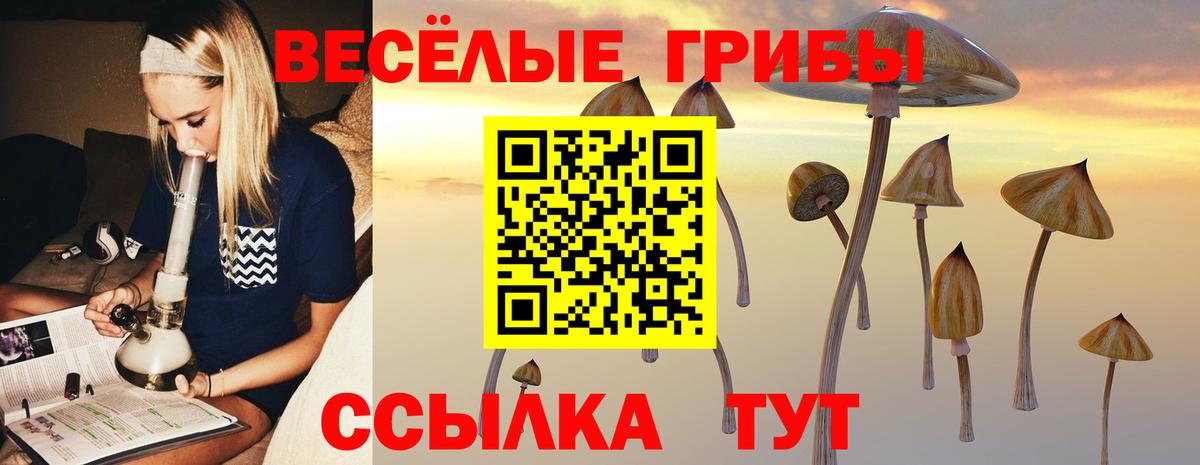 Галлюциногенные грибы Magic Shrooms  Вход с VPN  Грозный 